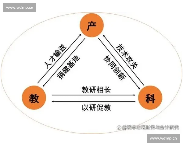 以CBAPC版为核心的中国篮球裁判培养体系创新研究路径探索实践