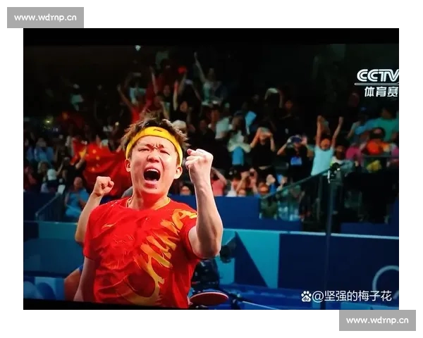 热血体育视频集锦燃爆赛场瞬间见证拼搏与荣耀全程回顾经典对决高光时刻 热血体育视频集锦燃爆赛场瞬间见证拼搏与荣耀全程回顾经典对决高光时刻