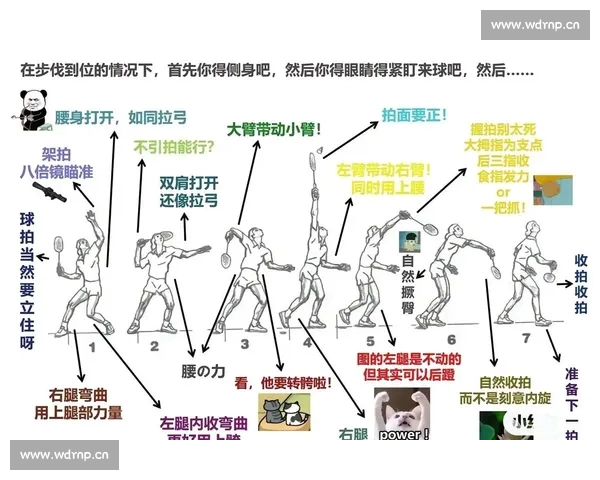羽毛球技术全解析：从基础动作到高级技巧提升的全面指南
